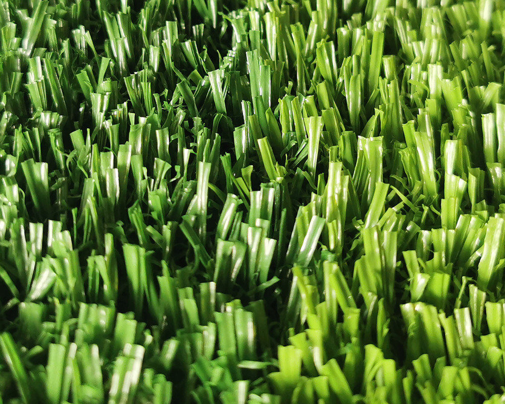 No filler sport grass