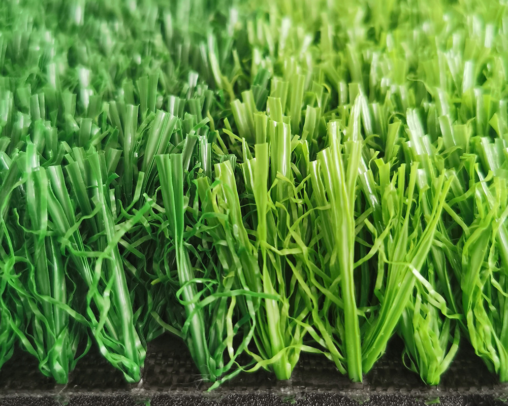 No filler sport grass