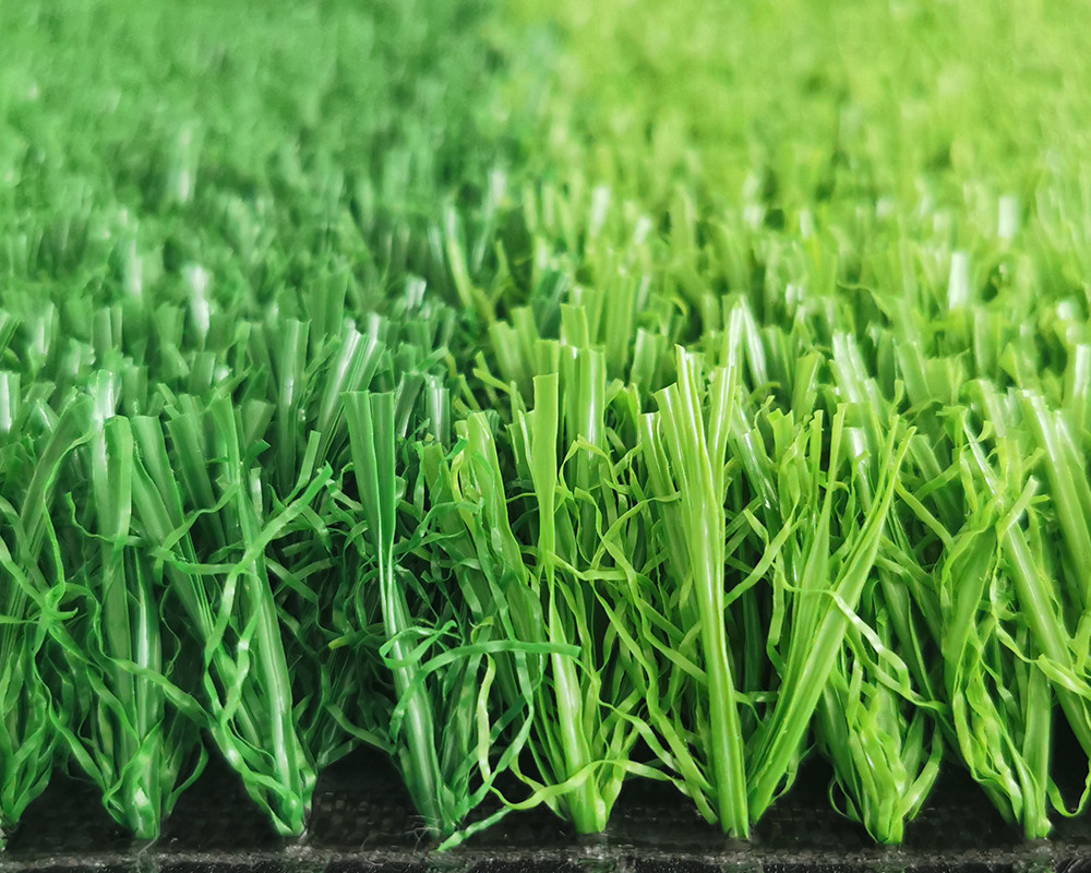 No filler sport grass