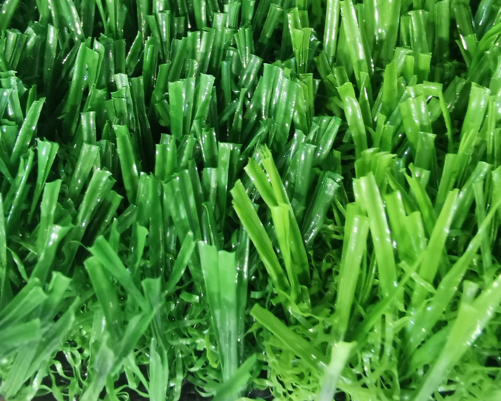 No filler sport grass