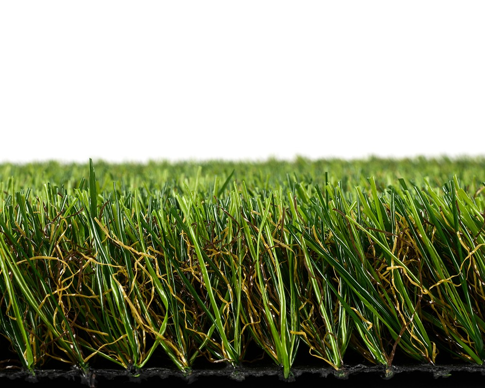 40mm Dark coffee with four colors