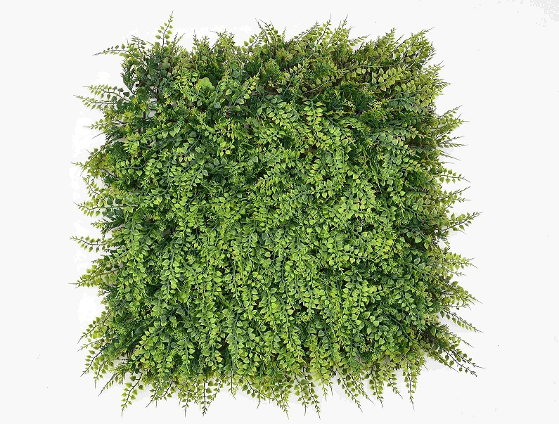 Aquatic plants mixed