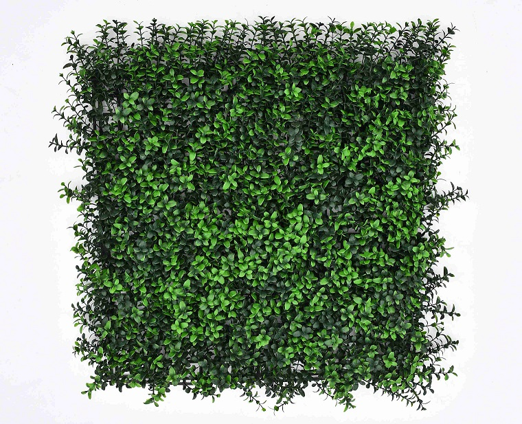 Seven layers of money grass